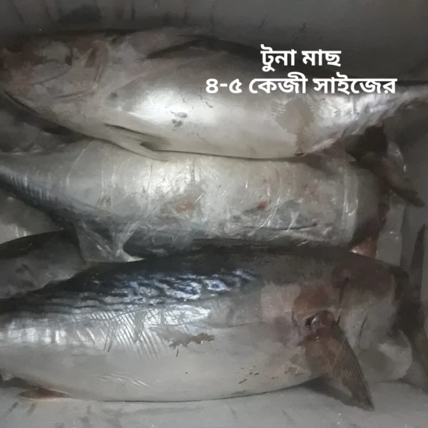 Tuna Fish/KG(২-৪ কেজি সাইজের মাছ )