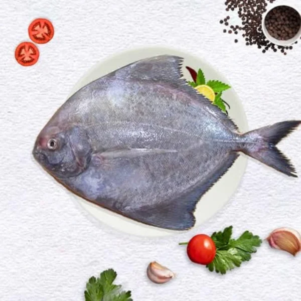 Black Pomfret/কালো চাঁদা (৩-৫ পিসে ১ কেজি)